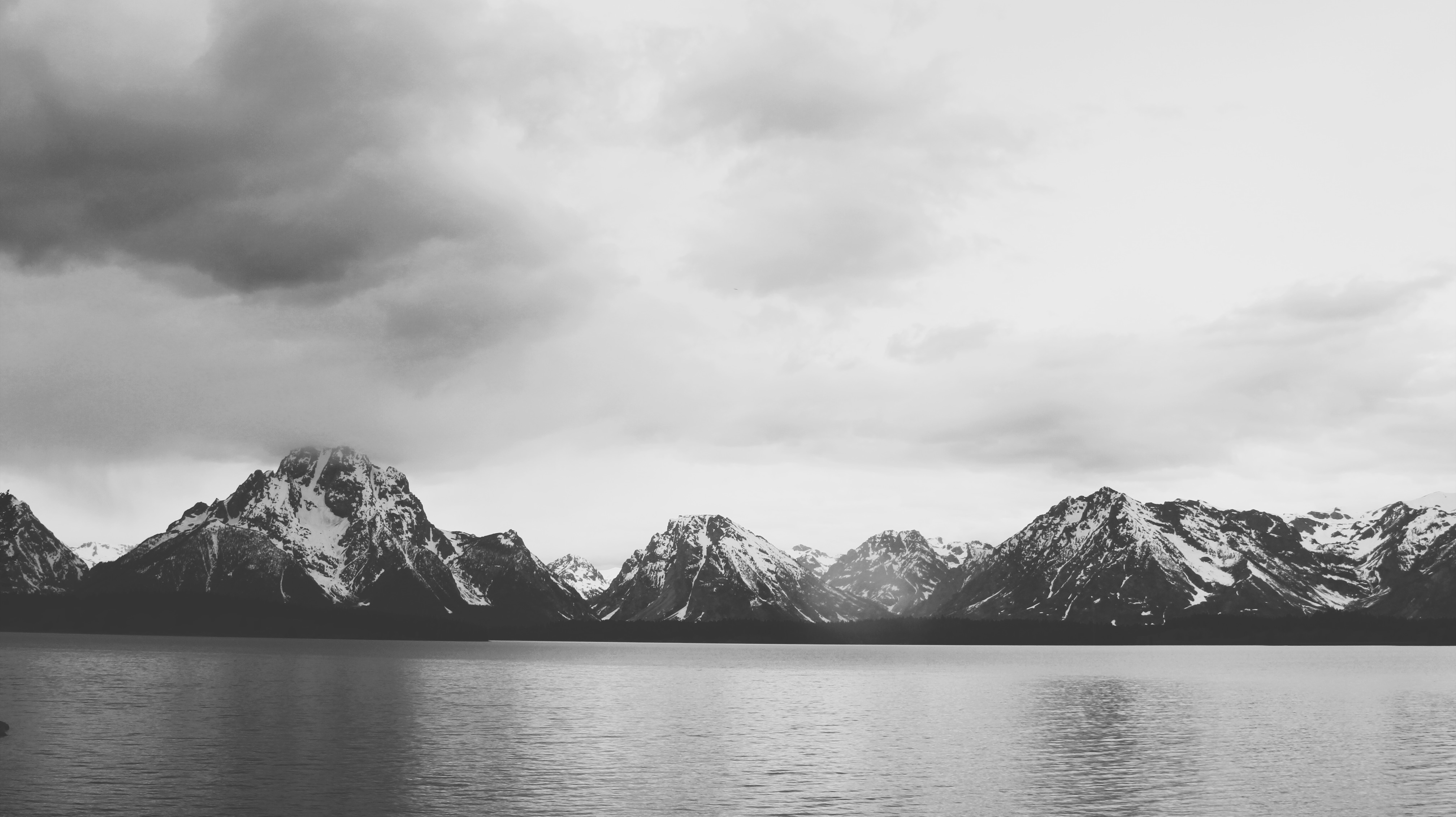 Digital Identity Verification: What It Means for Nature Photography Communities