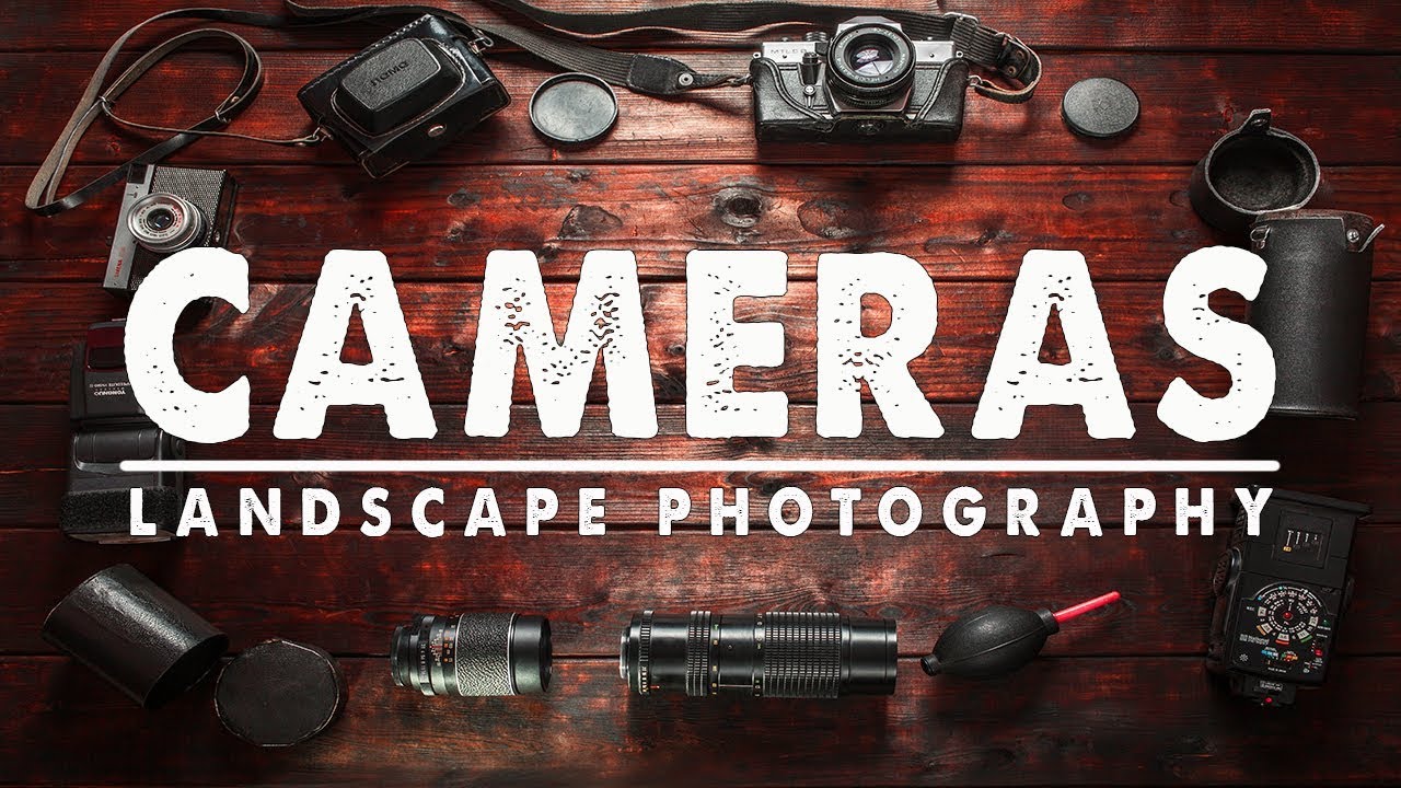 Eight Questions That Will Save You From a Camera You'll Regret Buying