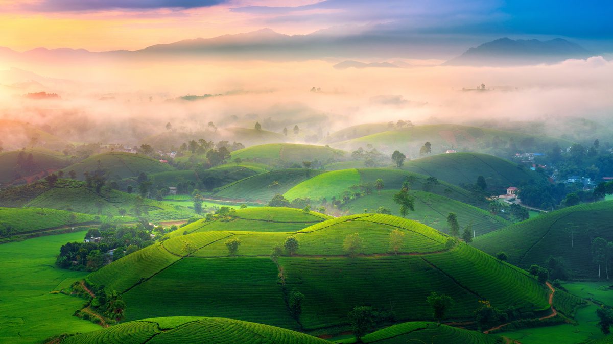 Finding Balance in the Frame: The Art of Landscape Composition