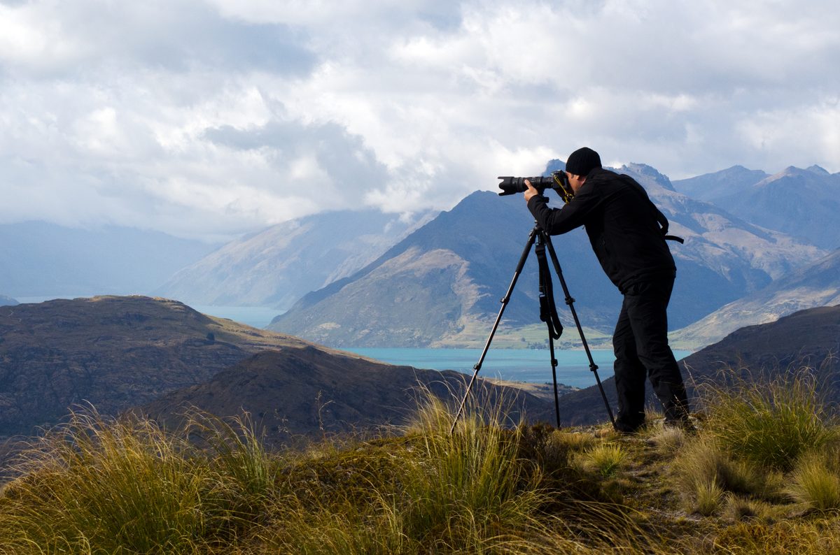 Finding Sacred Geometry in the Wild: Jon McCormack's New Visual Testament to Nature's Order