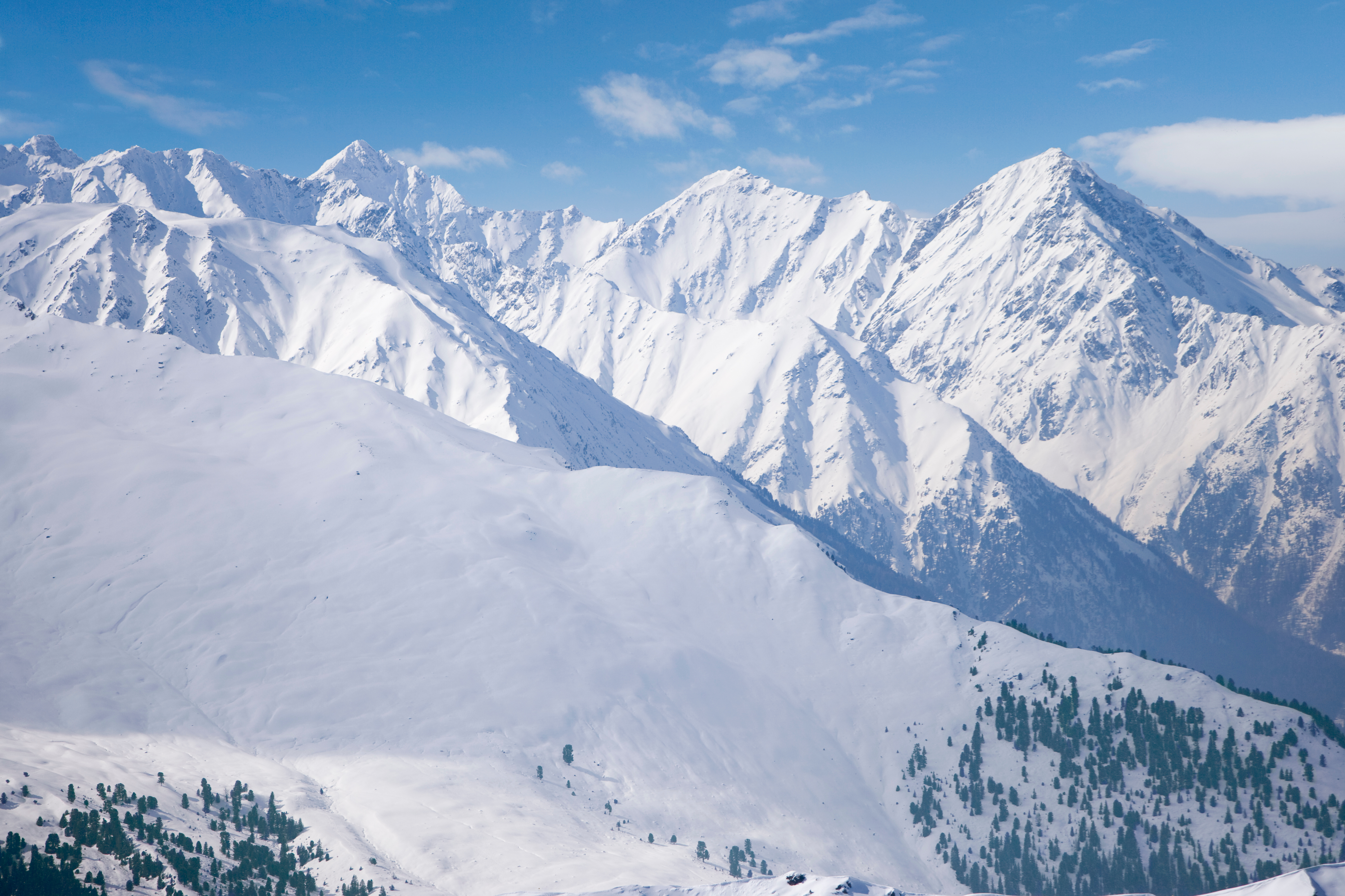 How Google's Spring Developer Conference Could Shape the Future of Nature Photography Tech
