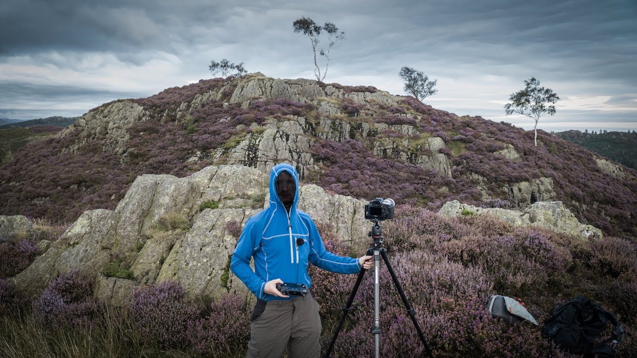 How Mist and Flat Light Can Make Your Landscape Shots — If You Know How to Read Them