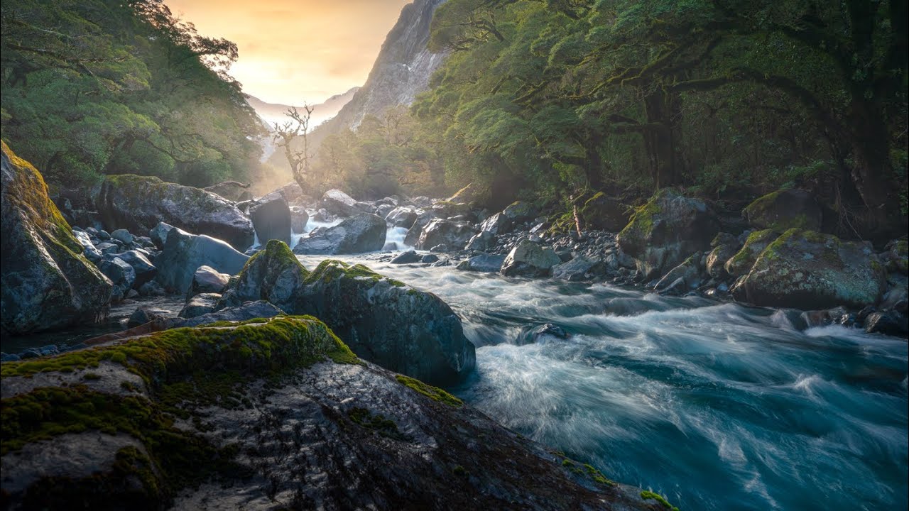 How to Find and Photograph Forest Scenes When the Light Refuses to Cooperate