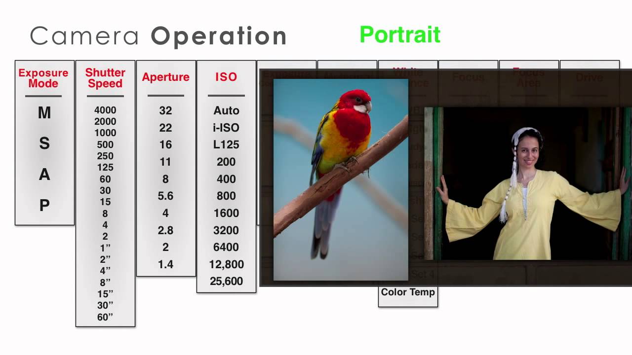 Landscape vs. Portrait: The Camera Settings That Actually Matter in the Field