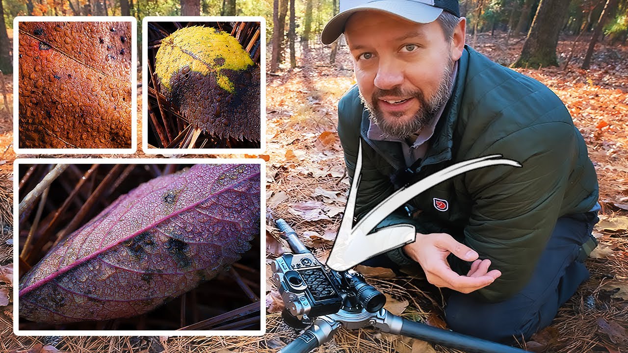 Macro Landscape Photography: What Happens When You Pair a 40MP Sensor With Your First Real Macro Lens