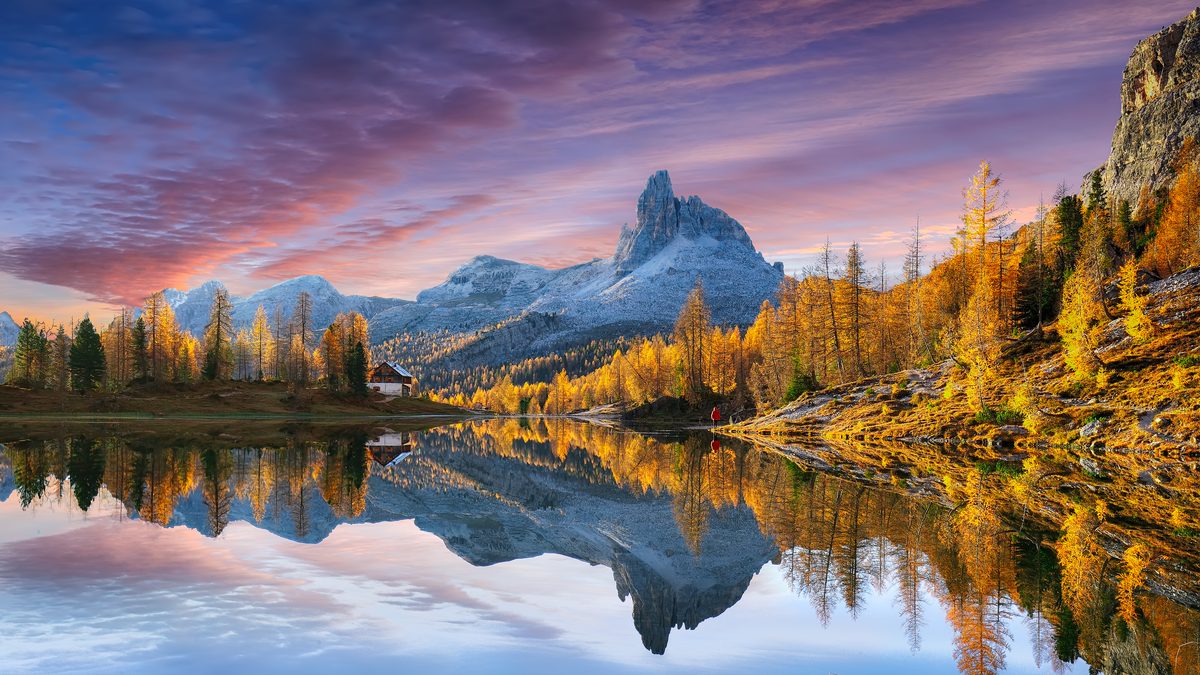 The Art of Forest Photography: Capturing Light Among the Trees
