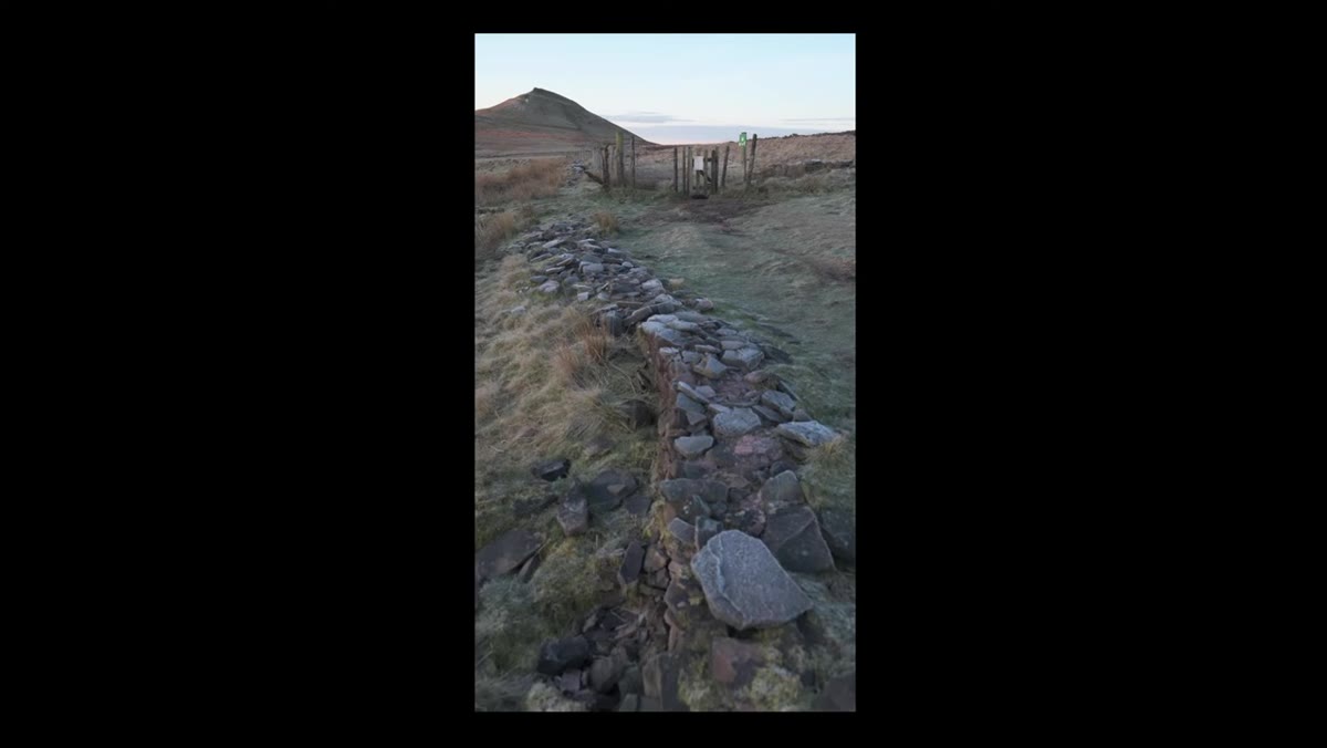 Camera positioned very low to the ground near rocks