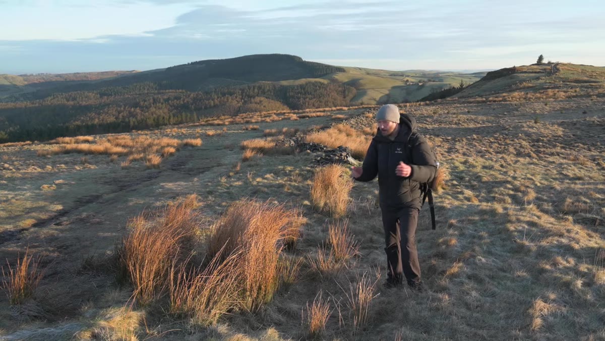 Golden sidelight raking across frosted grass and rock surface