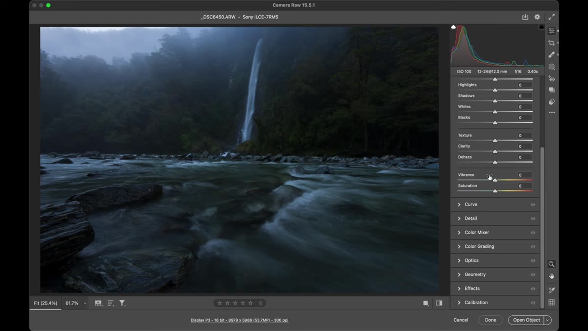 Vibrance slider being increased in the Basic panel