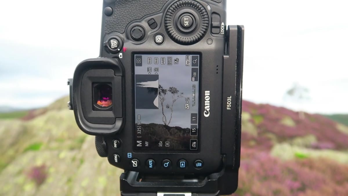Camera set up on tripod with long lens pointed at isolated birch tree