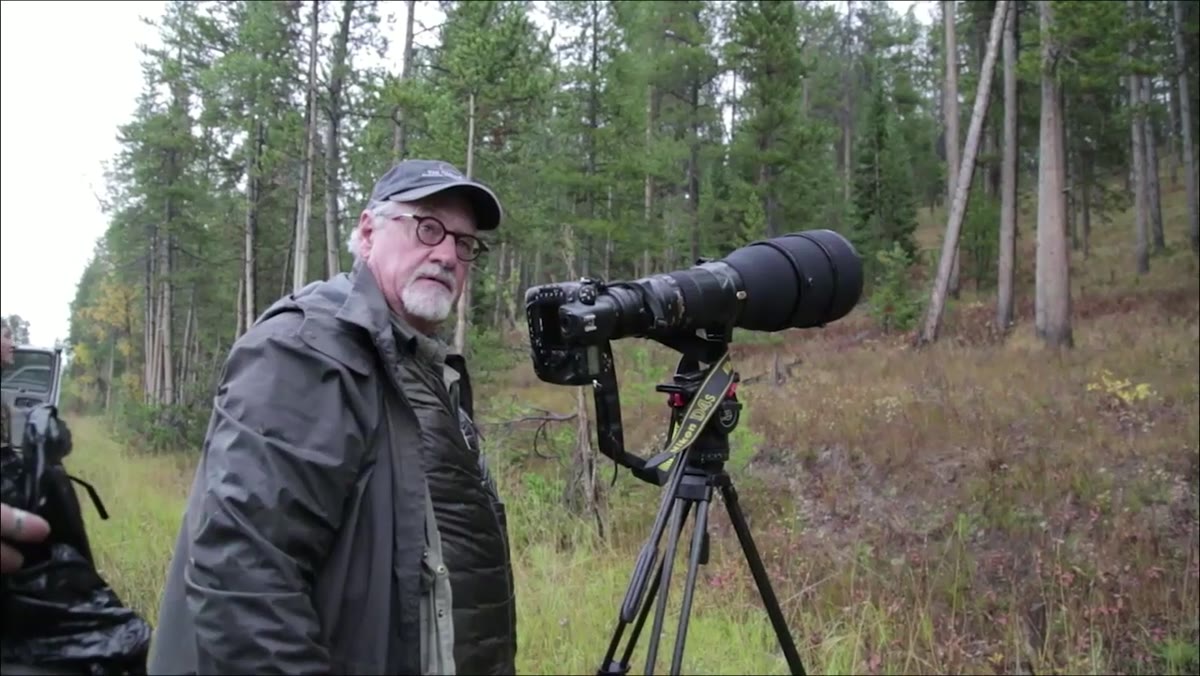 Discussing shallow depth of field to reduce busy background grass