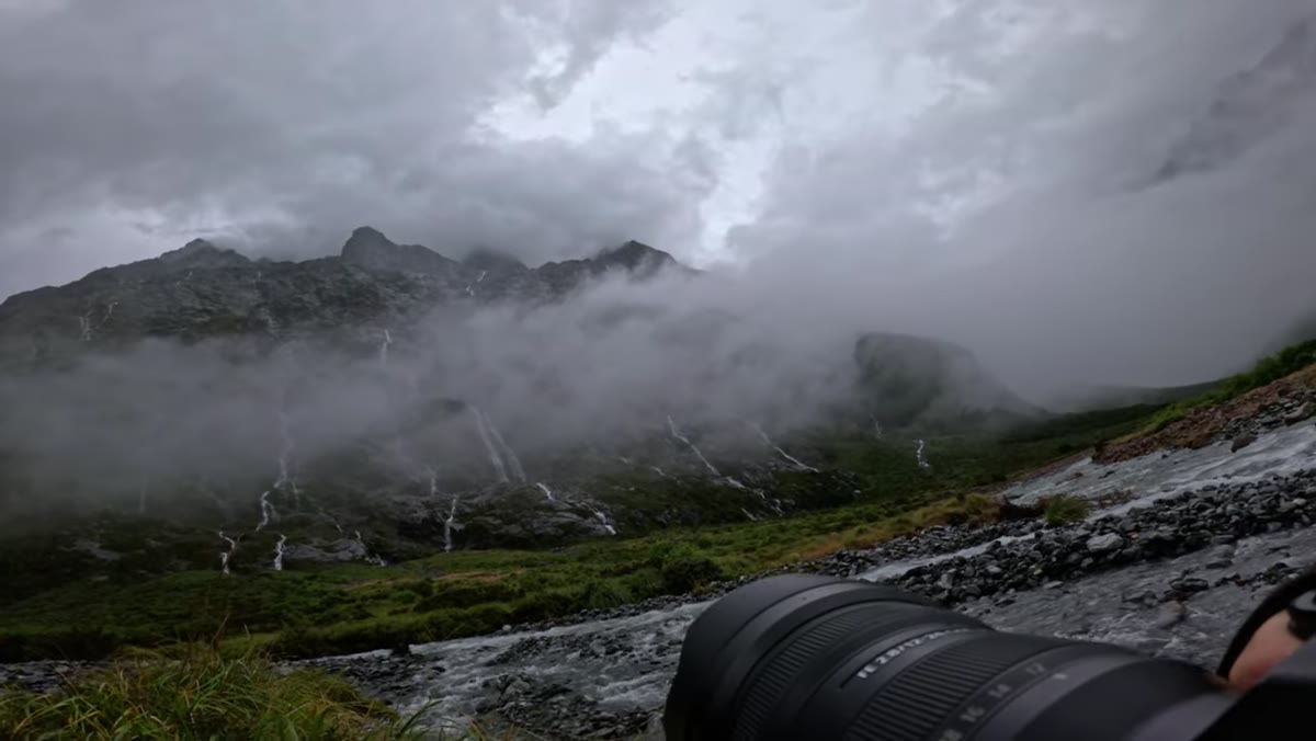 Low camera angle on green riverbank plants with dark boulders behind