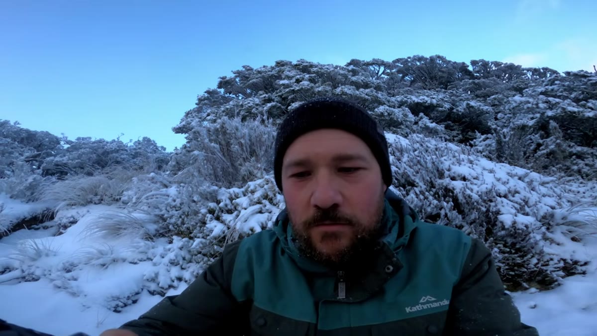 Patino pausing to compose a single tree heavy with snow