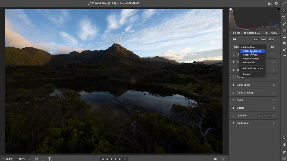 Landscape profile applied in Camera Raw profile panel