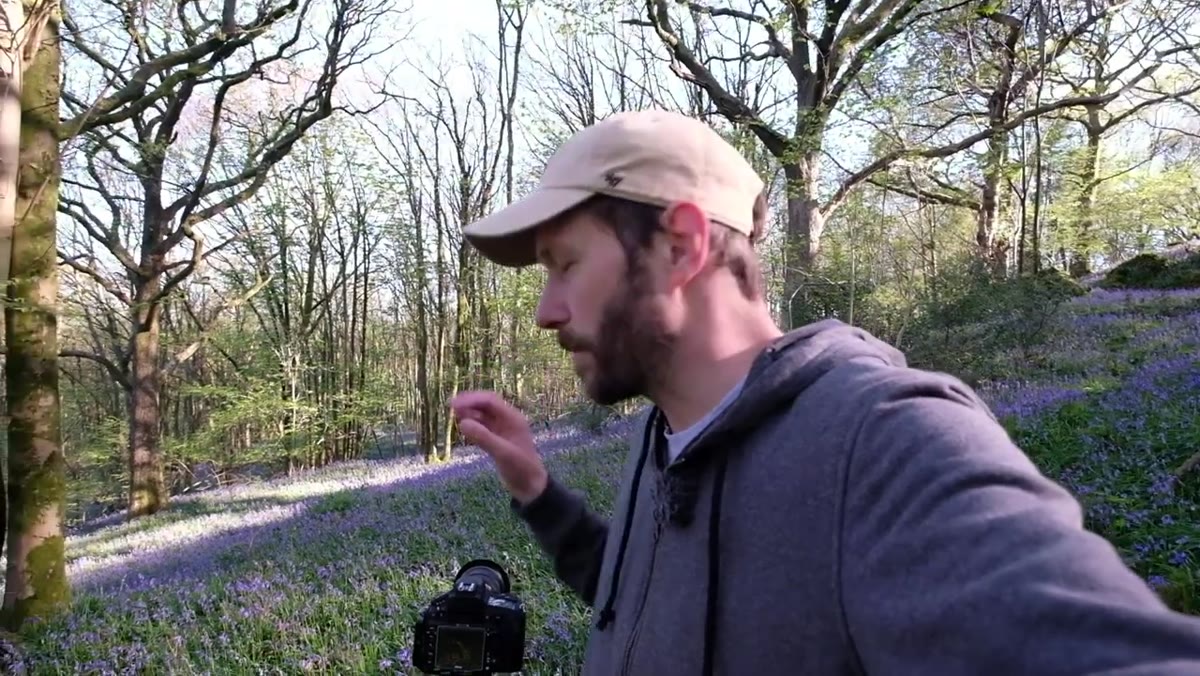 Danson pointing out deep shadows cutting across the woodland floor