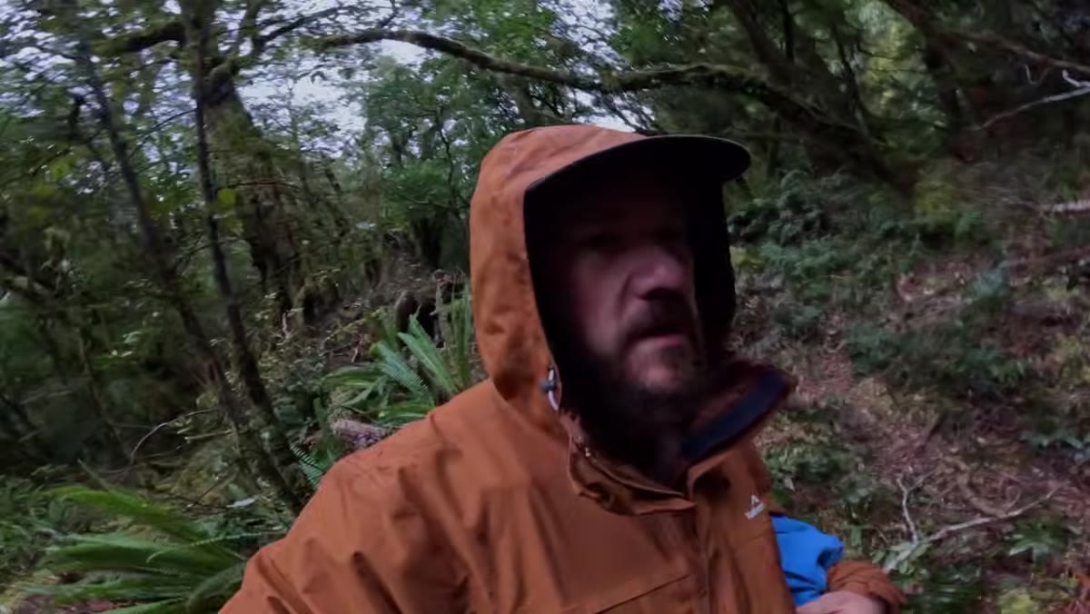 Will moving quickly along creek toward waterfall