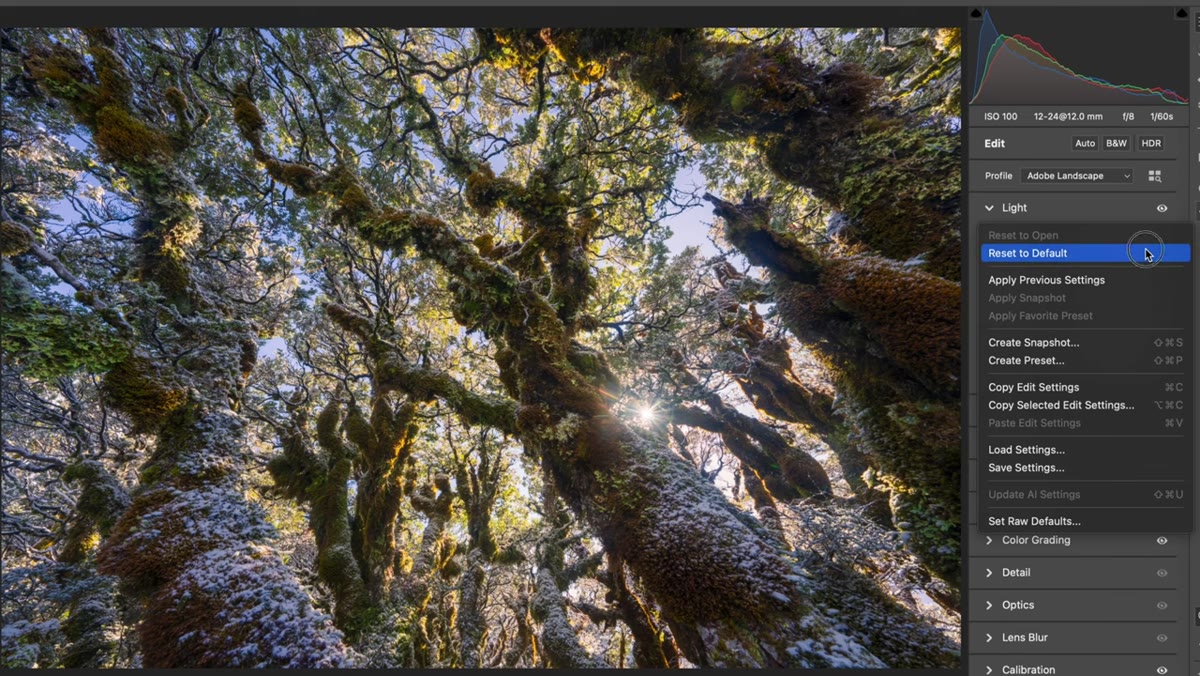 Lightroom raw file shown before and after edit, histogram visible, shadow recovery applied