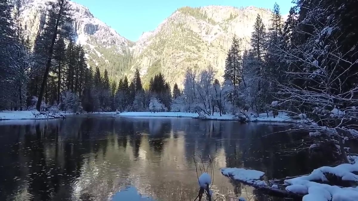 Nigel spotting the frost-covered tree and its reflection in stream