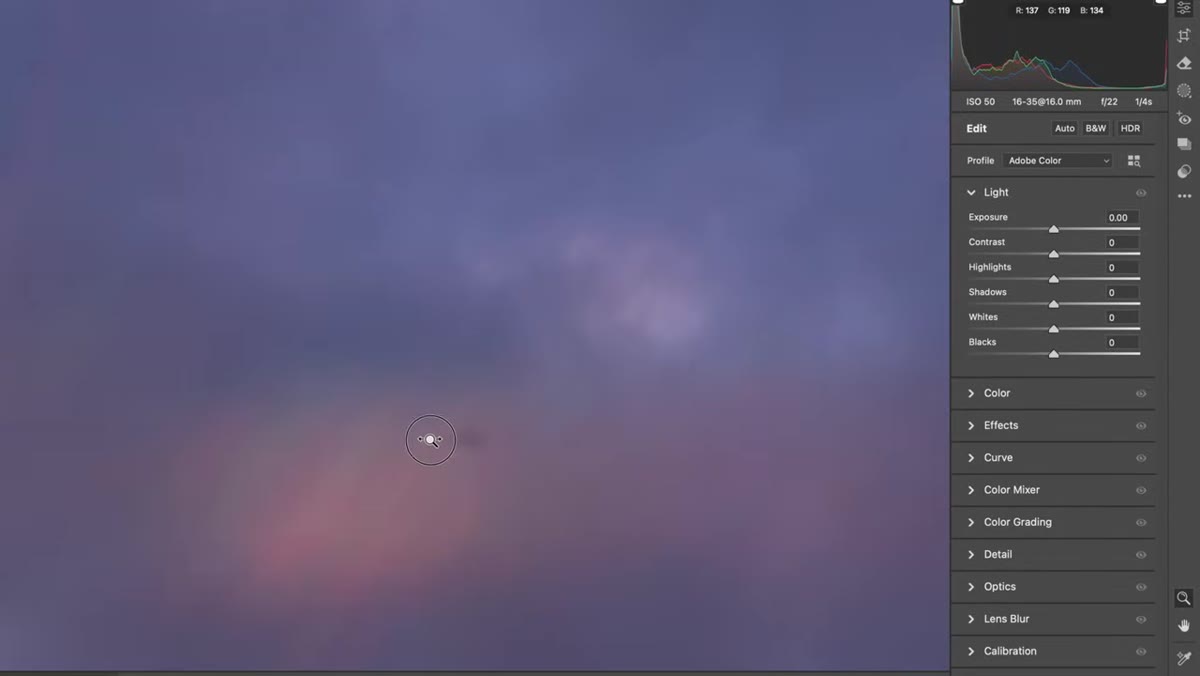 Dust spot and lens flare visible on the RAW file