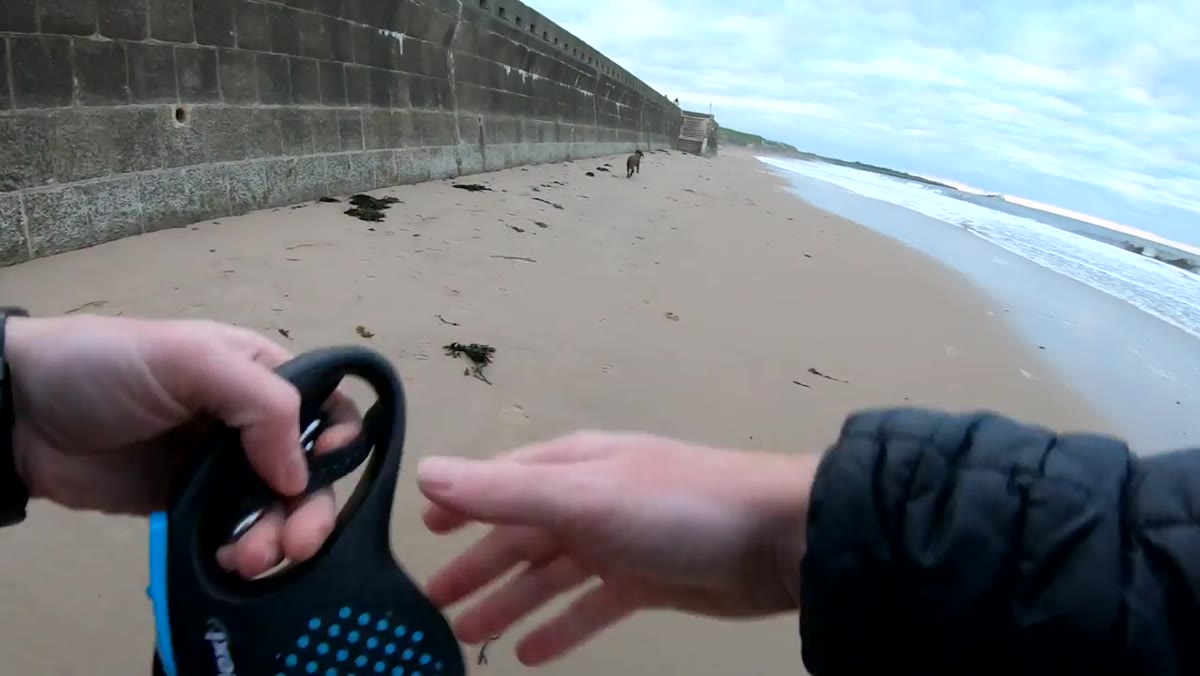 Heaton observes the beach conditions and high tide while walking