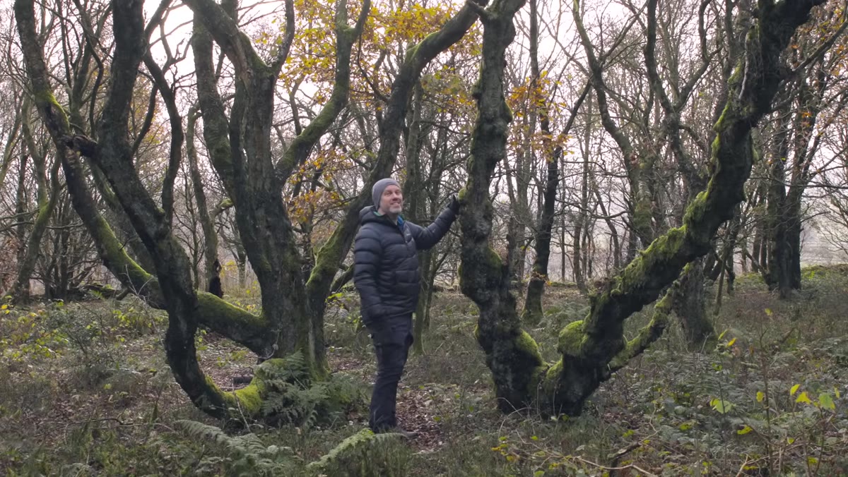 Creator speaking to camera with woodland backdrop, autumn color visible