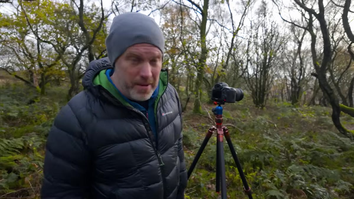 Creator triggering shutter release on moss-covered tree composition