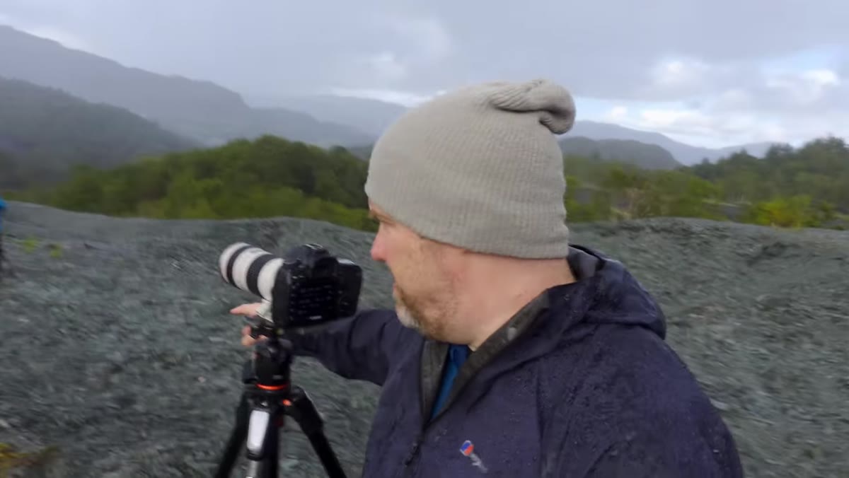 Camera positioned high so tree base sits against the open valley