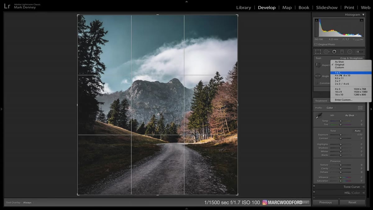 Crop overlay tightening a vertical 4x5 landscape image