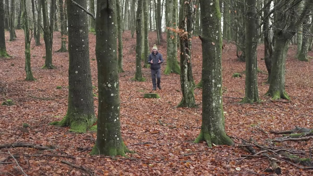 Nigel walks through a misty Danish forest at dawn