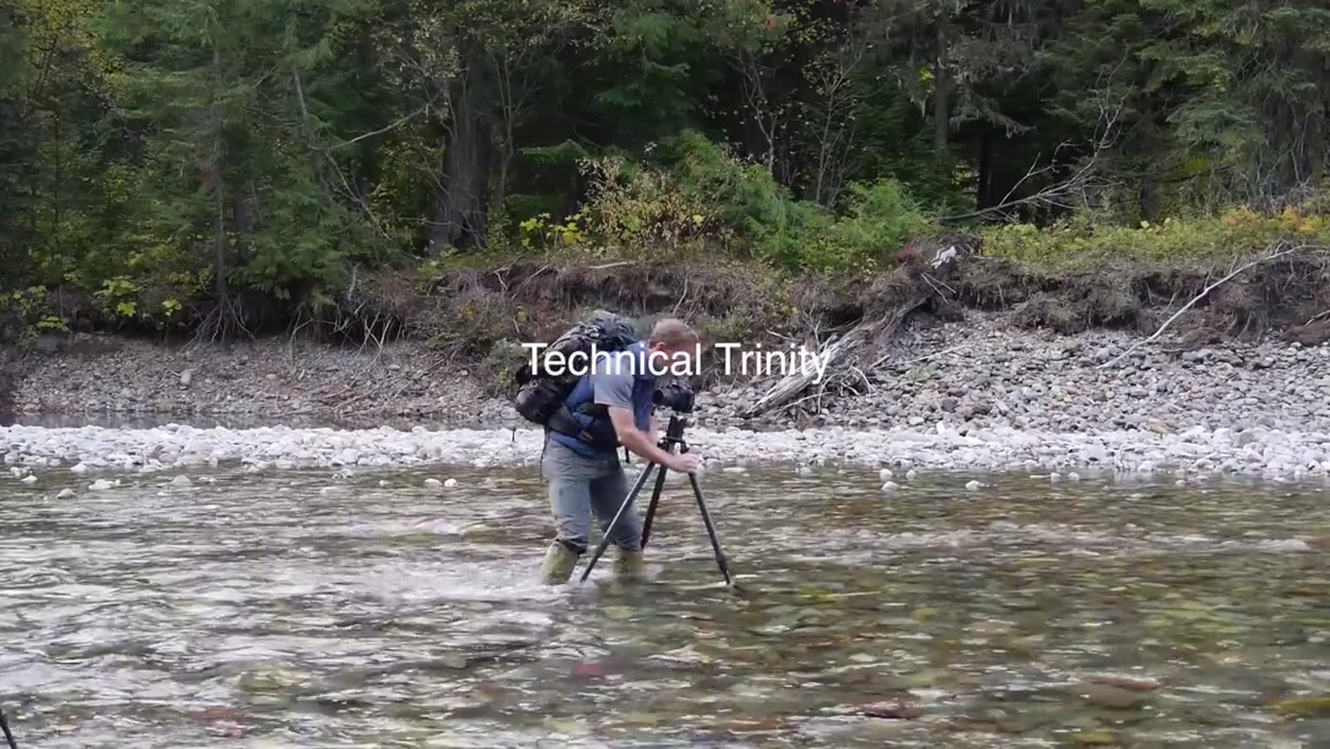 Aperture, shutter speed, and ISO displayed as core technical controls