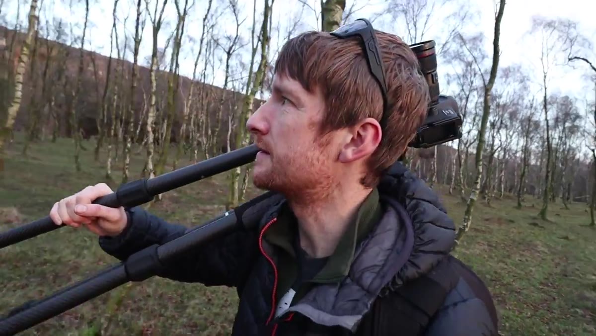 Heaton walking through dense birch woodland looking for compositions