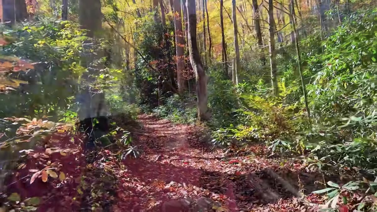 Mark hiking toward the river location through fall foliage