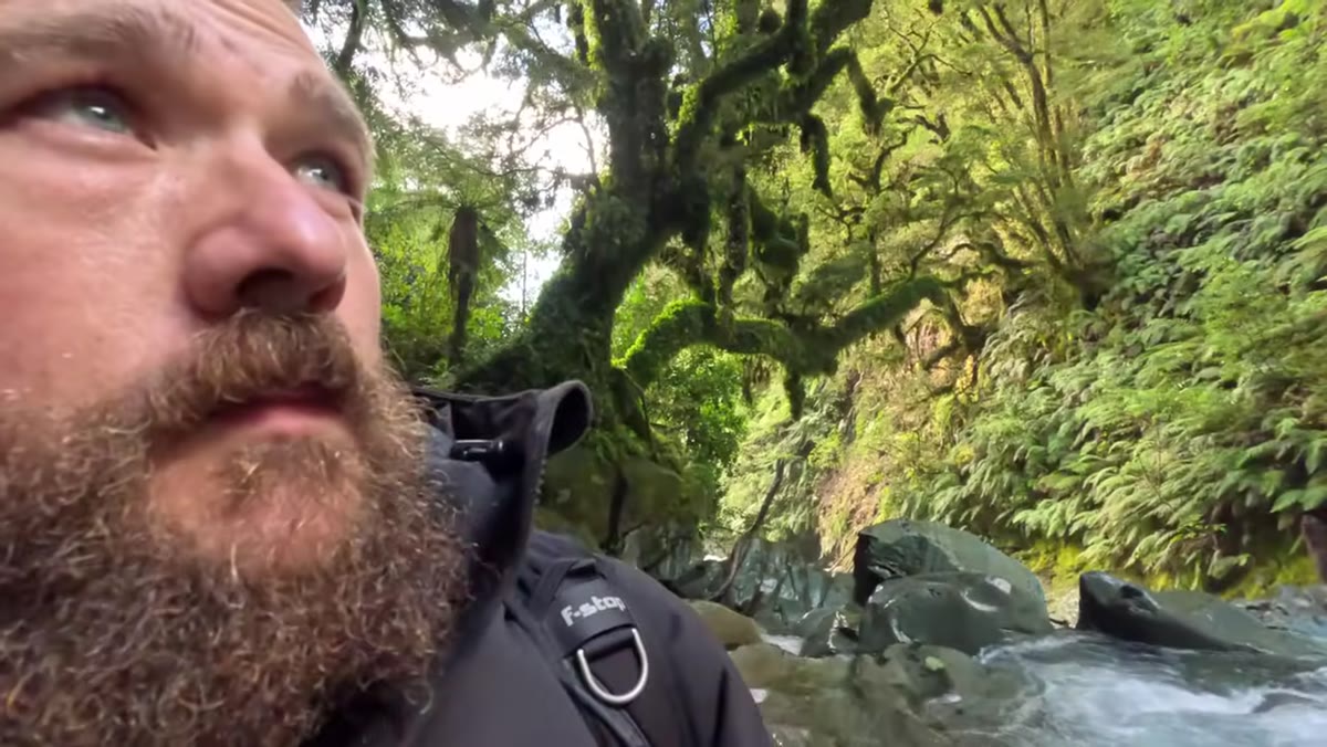 Patino discovers the waterfall and colorful tree from below