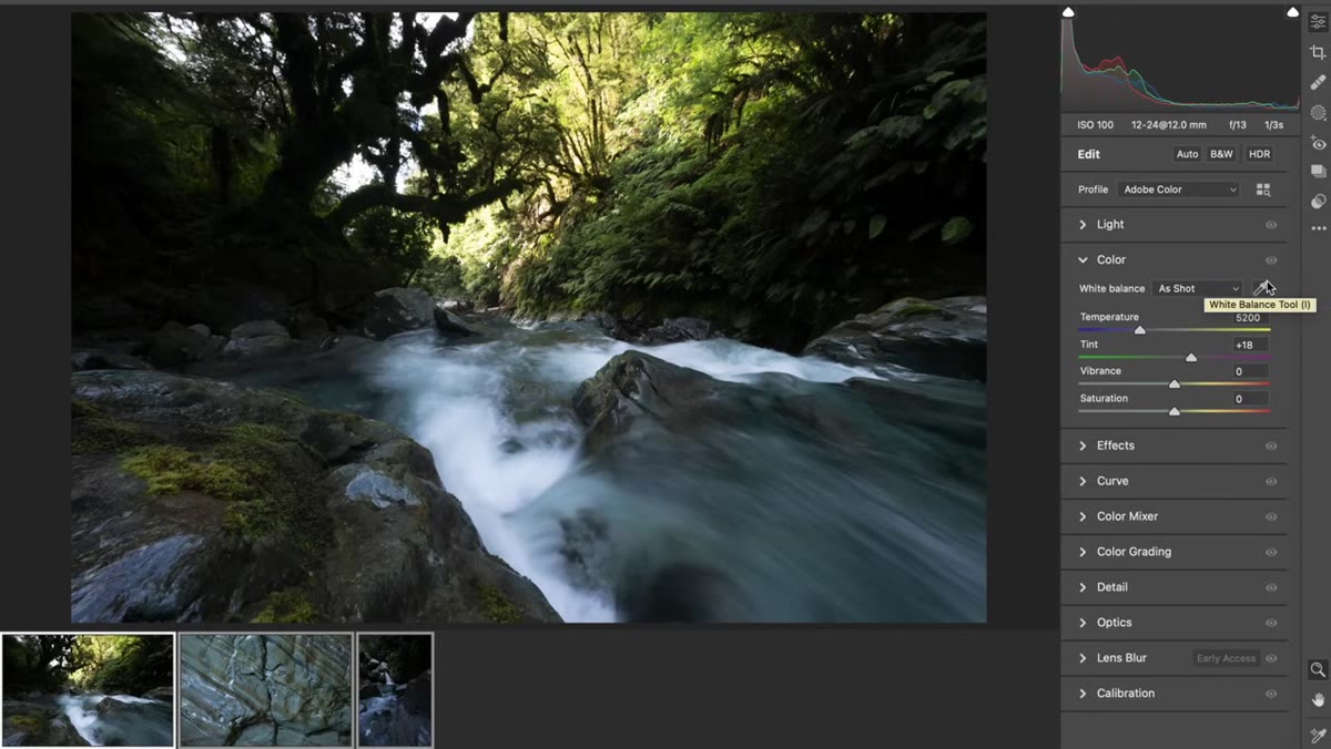 RAW files open on desktop, basic adjustments applied in Lightroom