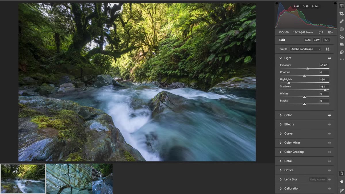 Patino explaining the color clash between wall, foliage, and water in editing