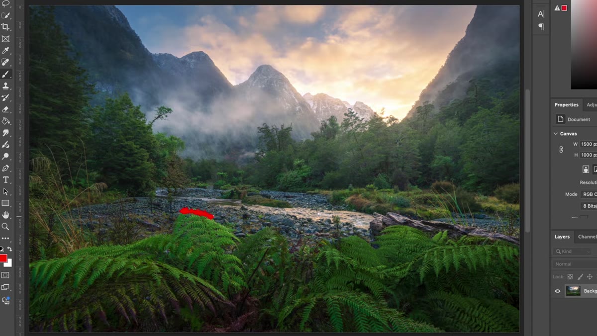 Reviewing image on camera, zooming in to check sharpness at corners and background