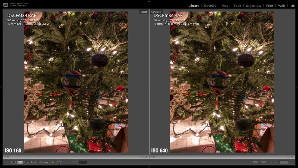 Side-by-side comparison of ISO 160 vs ISO 640 zoomed in on ornament