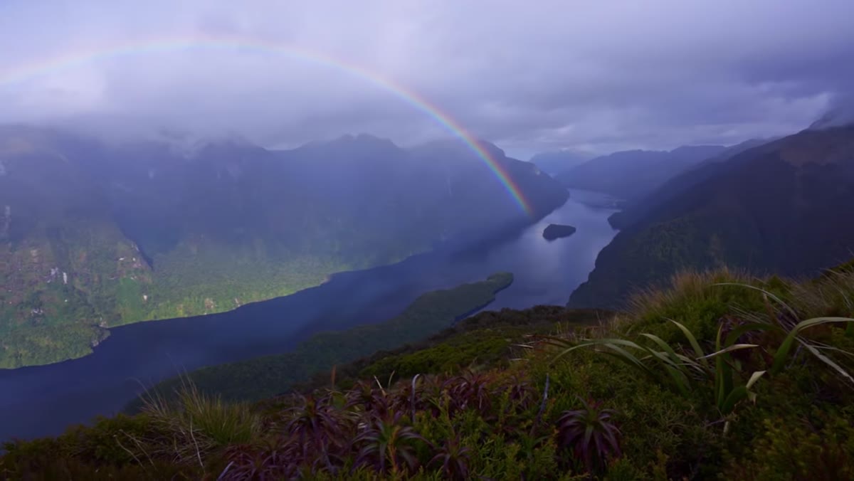 Patino describing nature surprising you with unexpected moments