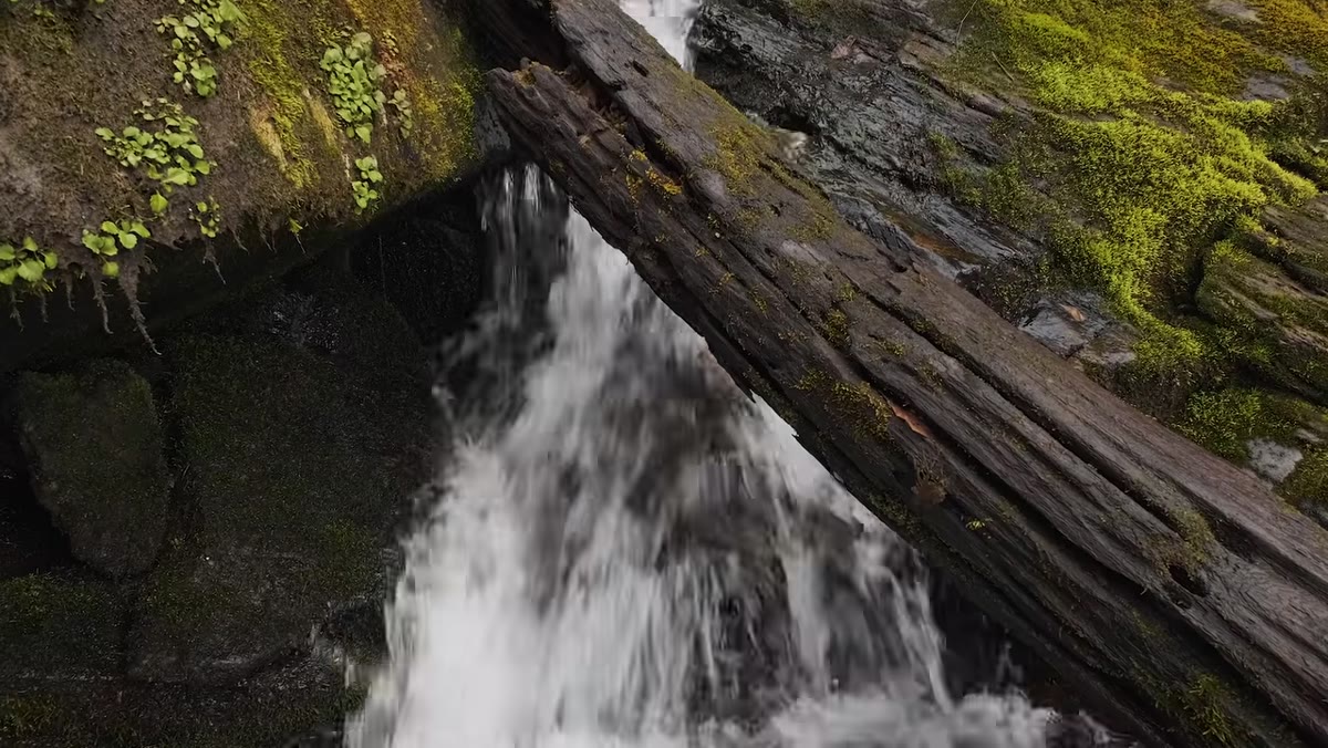 Camera low to mossy coastal rocks, flattening triangular foreground surface