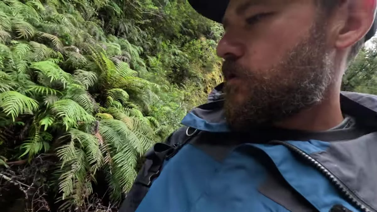 Rocky gorge walls closing in with increasing fern coverage on either side