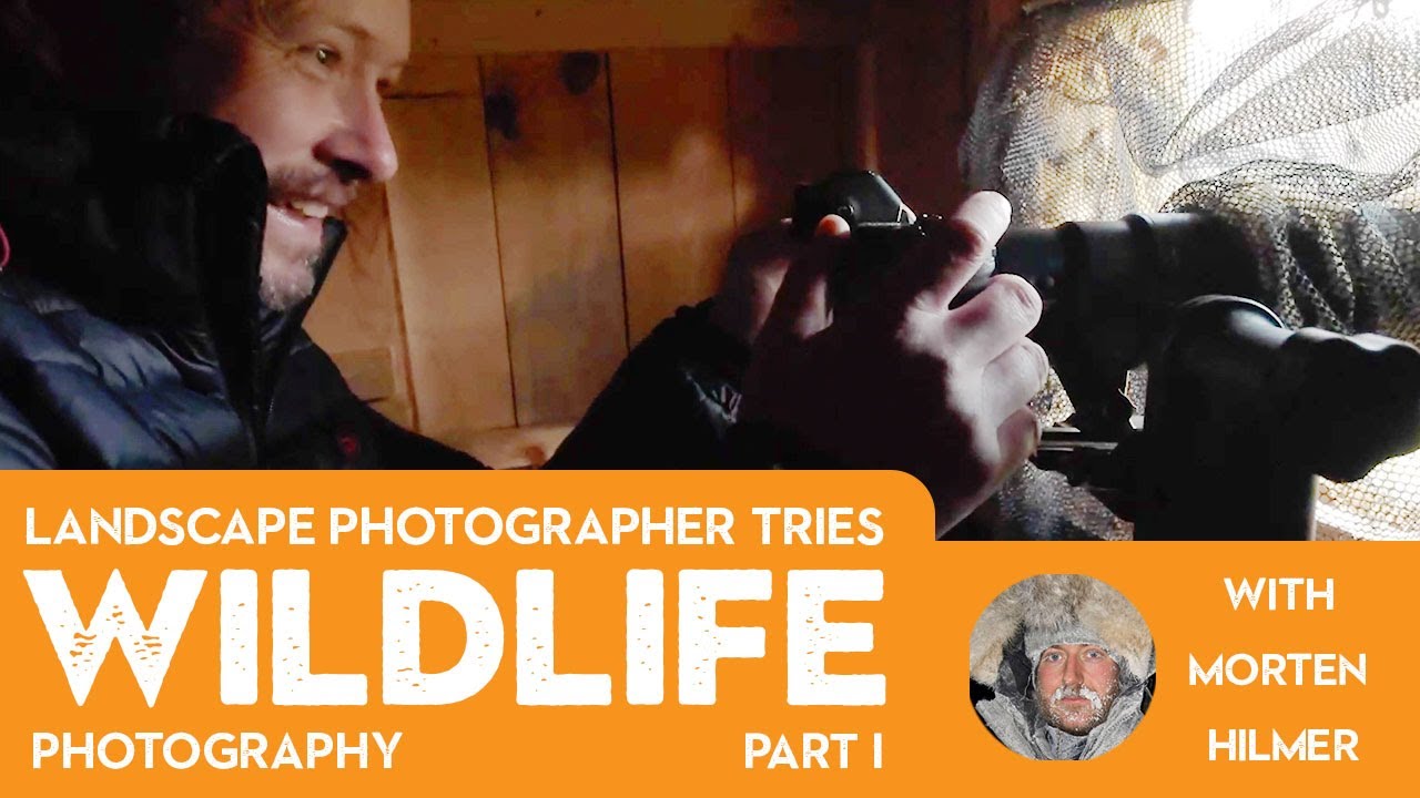 What a Landscape Photographer Learns When They Stop Controlling the Frame