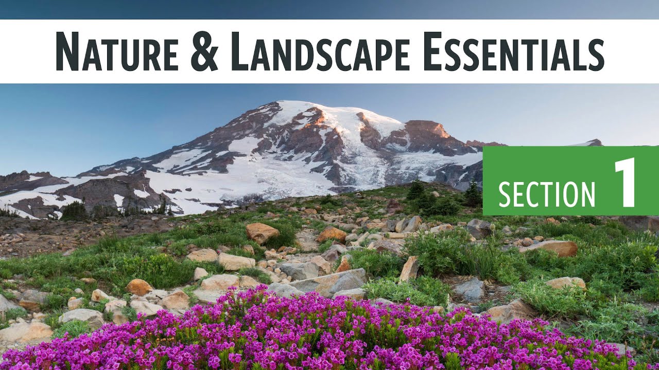 What John Greengo's Nature & Landscape Essentials Taught Me About Slowing Down Before the Hike