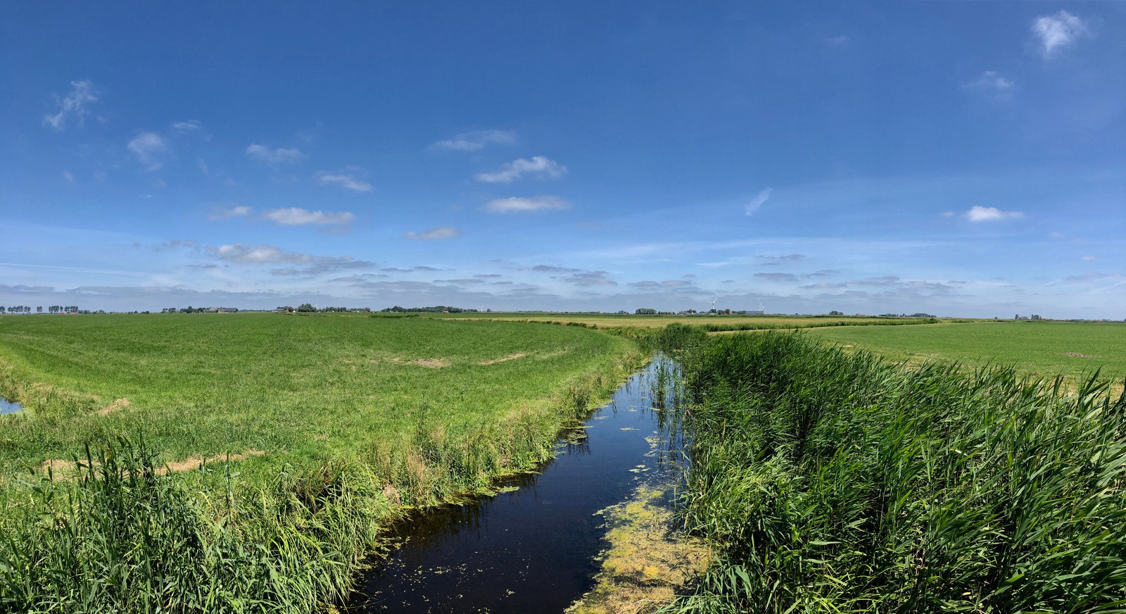 Why Your Panoramas Look Wrong (And How to Fix Them Before You Leave the Location)